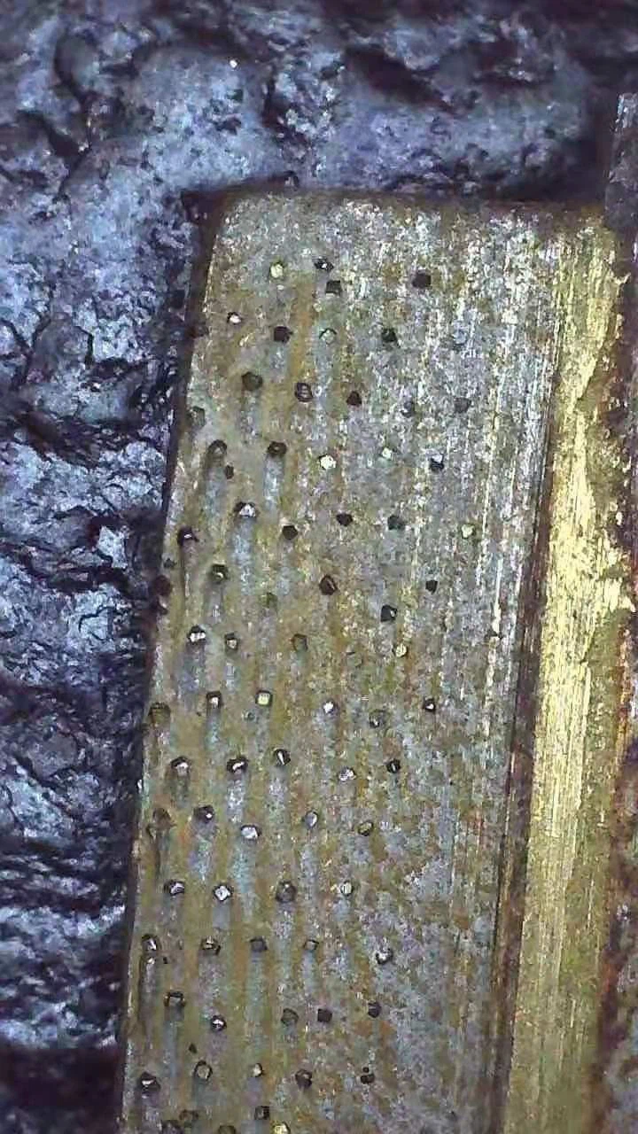 Fast cutting Arix diamond segment (8)